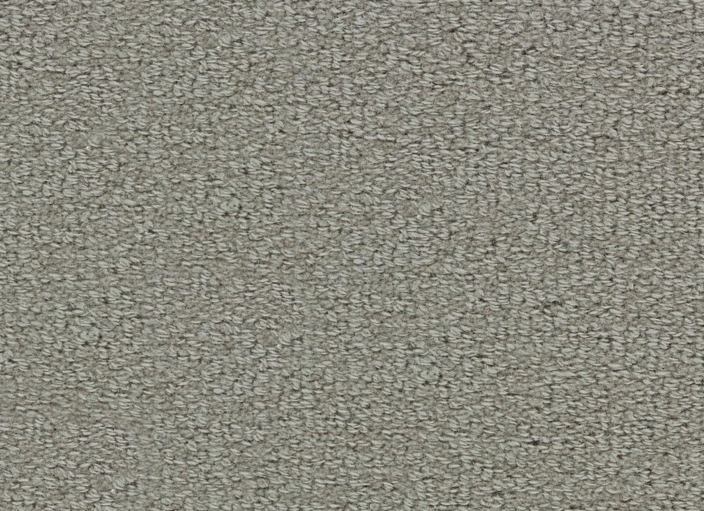 Wool Tip Shear Ii