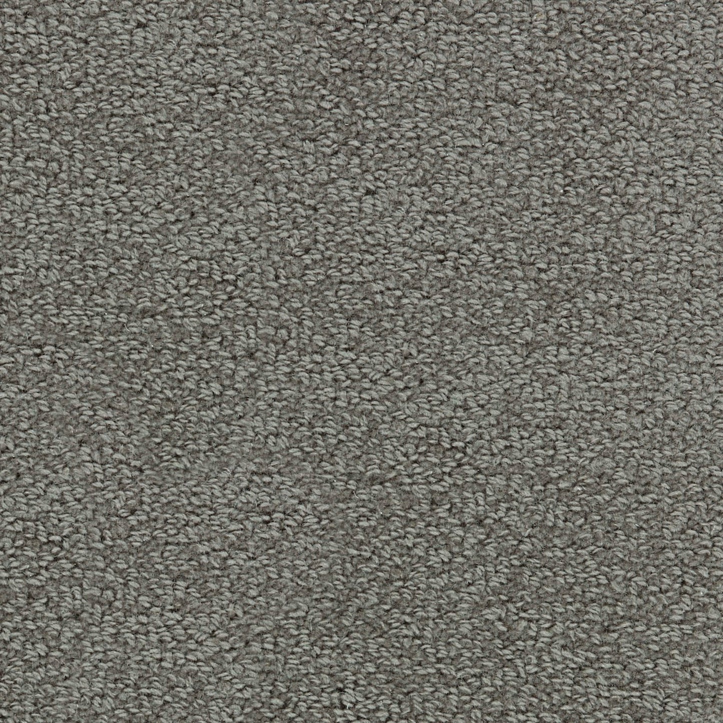 Wool Tip Shear Ii