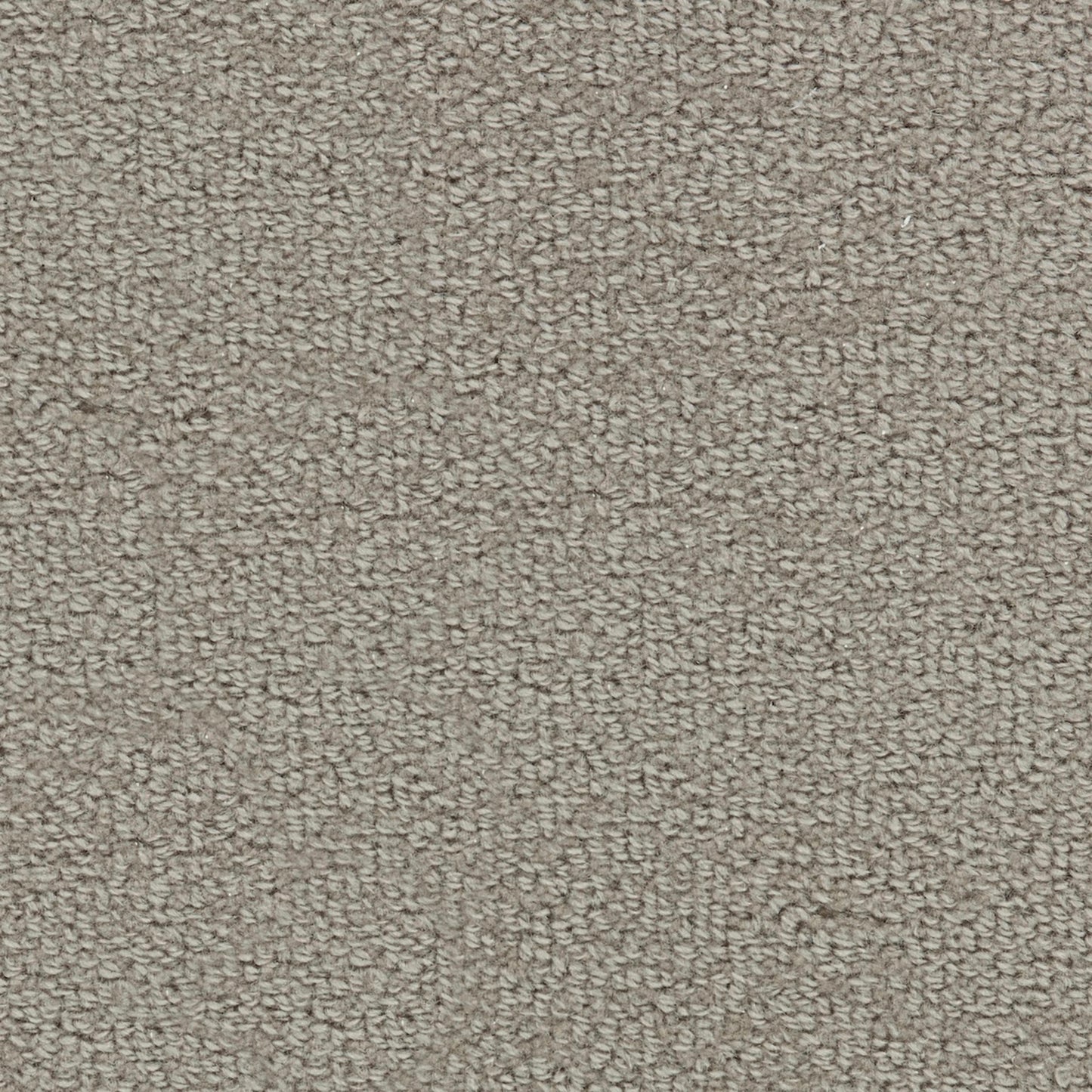 Wool Tip Shear Ii