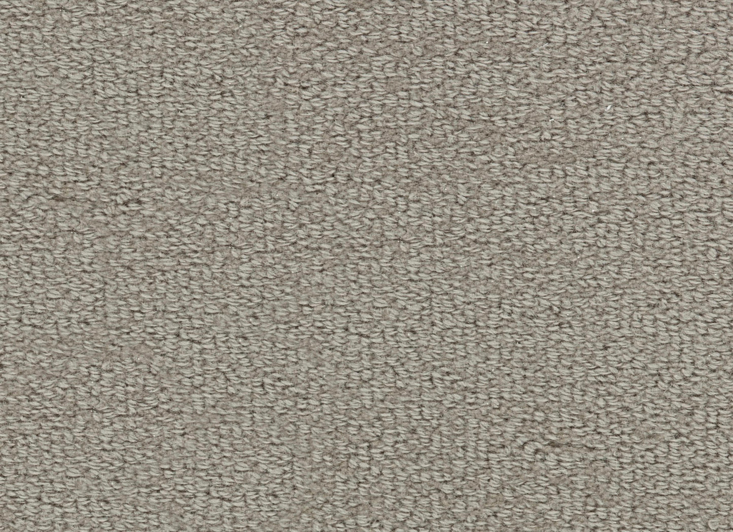 Wool Tip Shear Ii