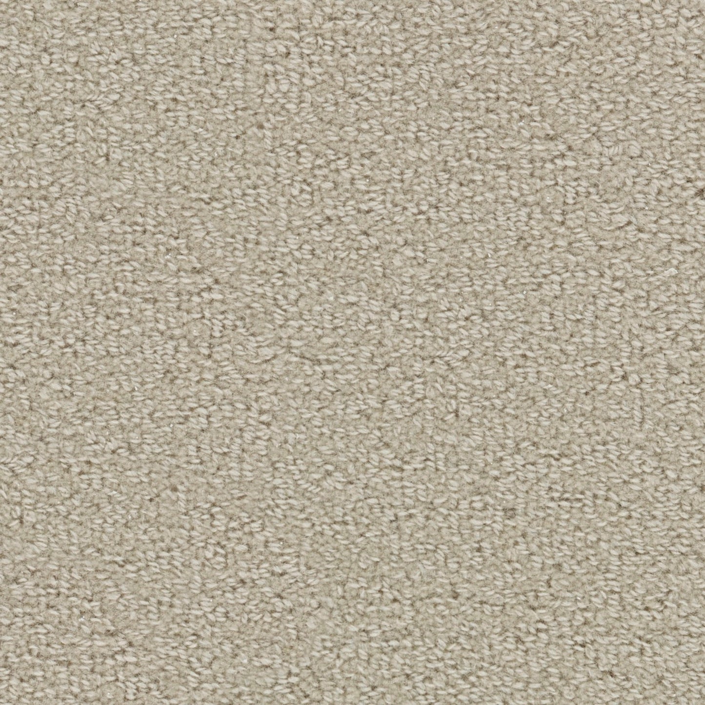 Wool Tip Shear Ii in Muslin Carpet