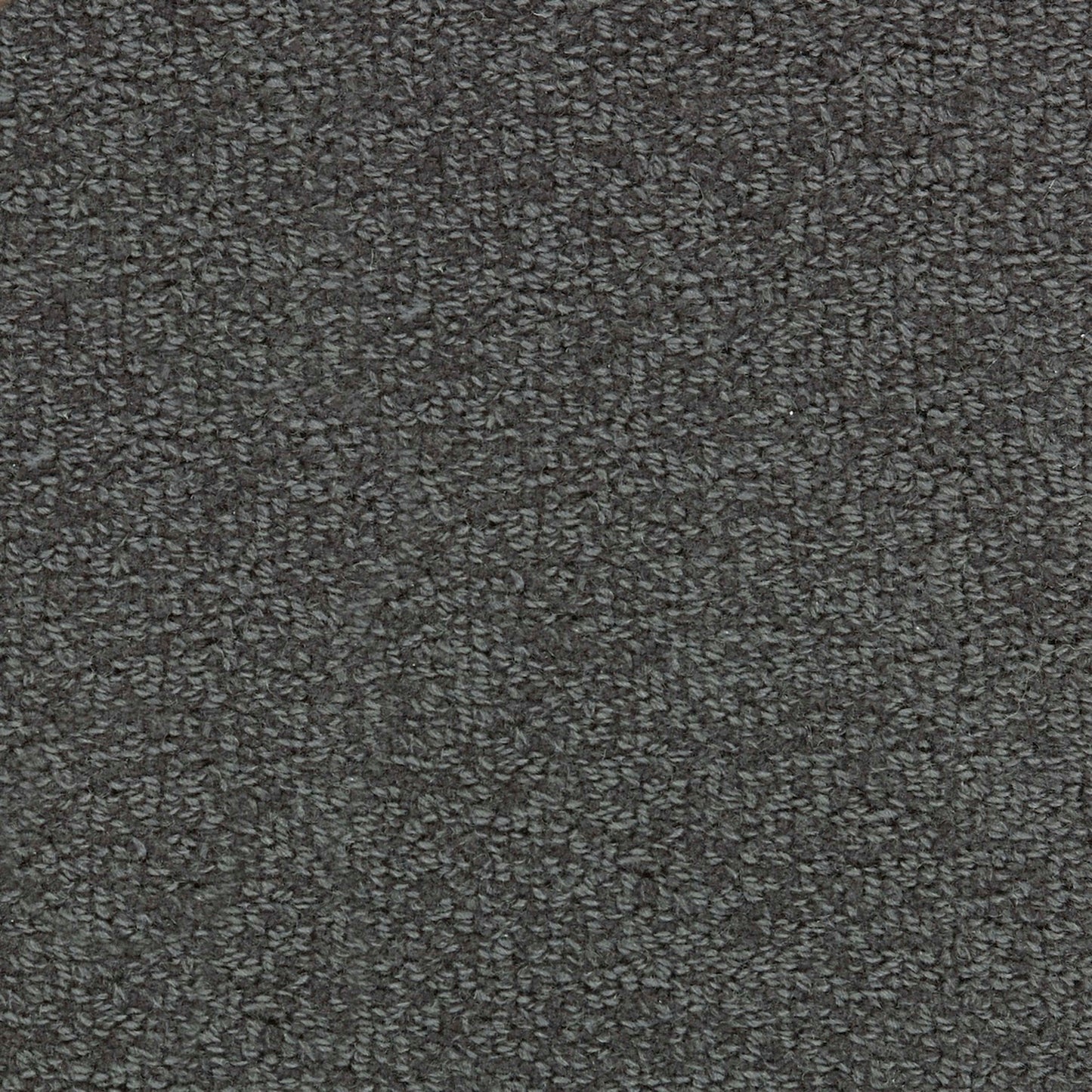 Wool Tip Shear Ii