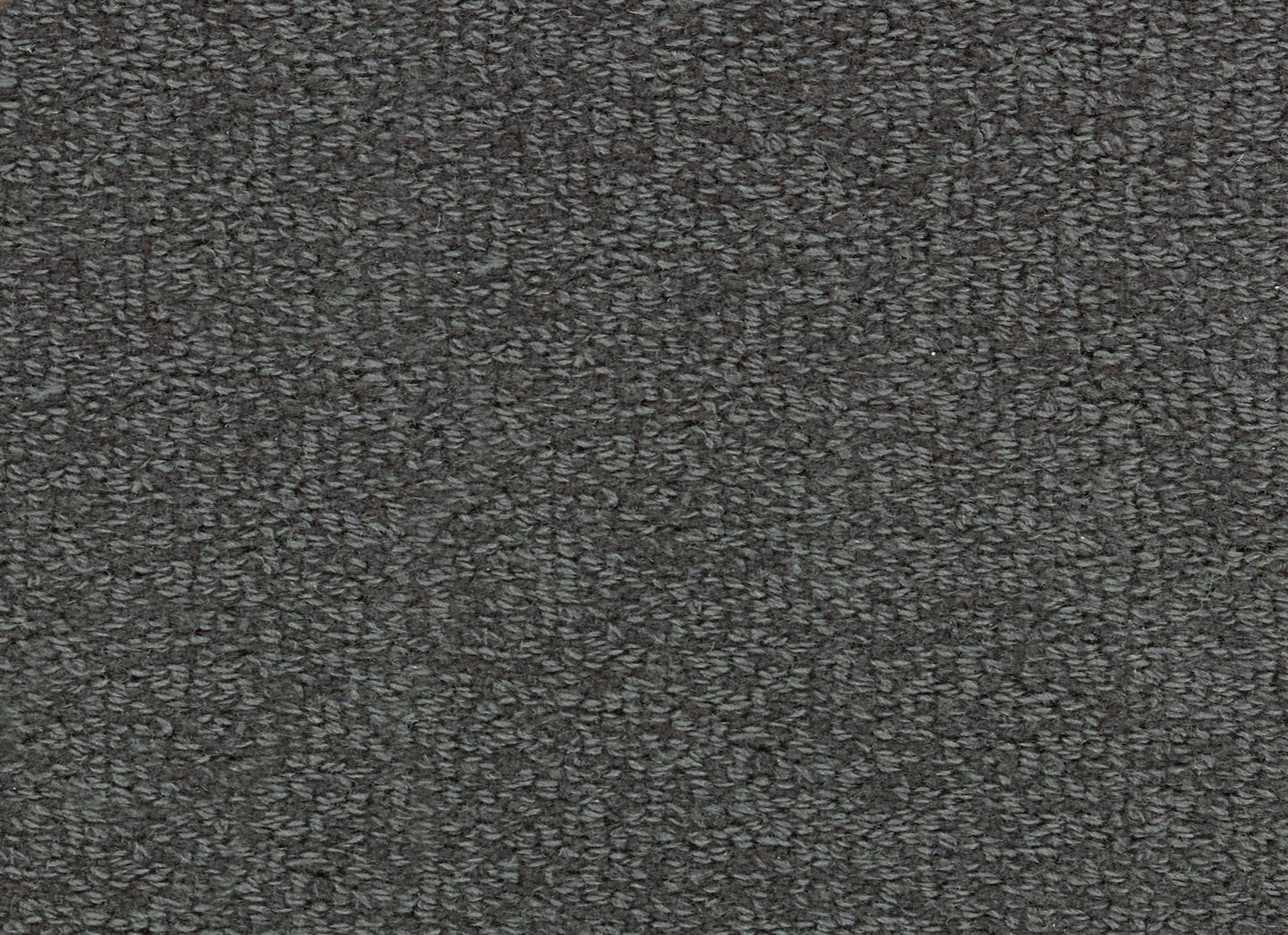 Wool Tip Shear Ii