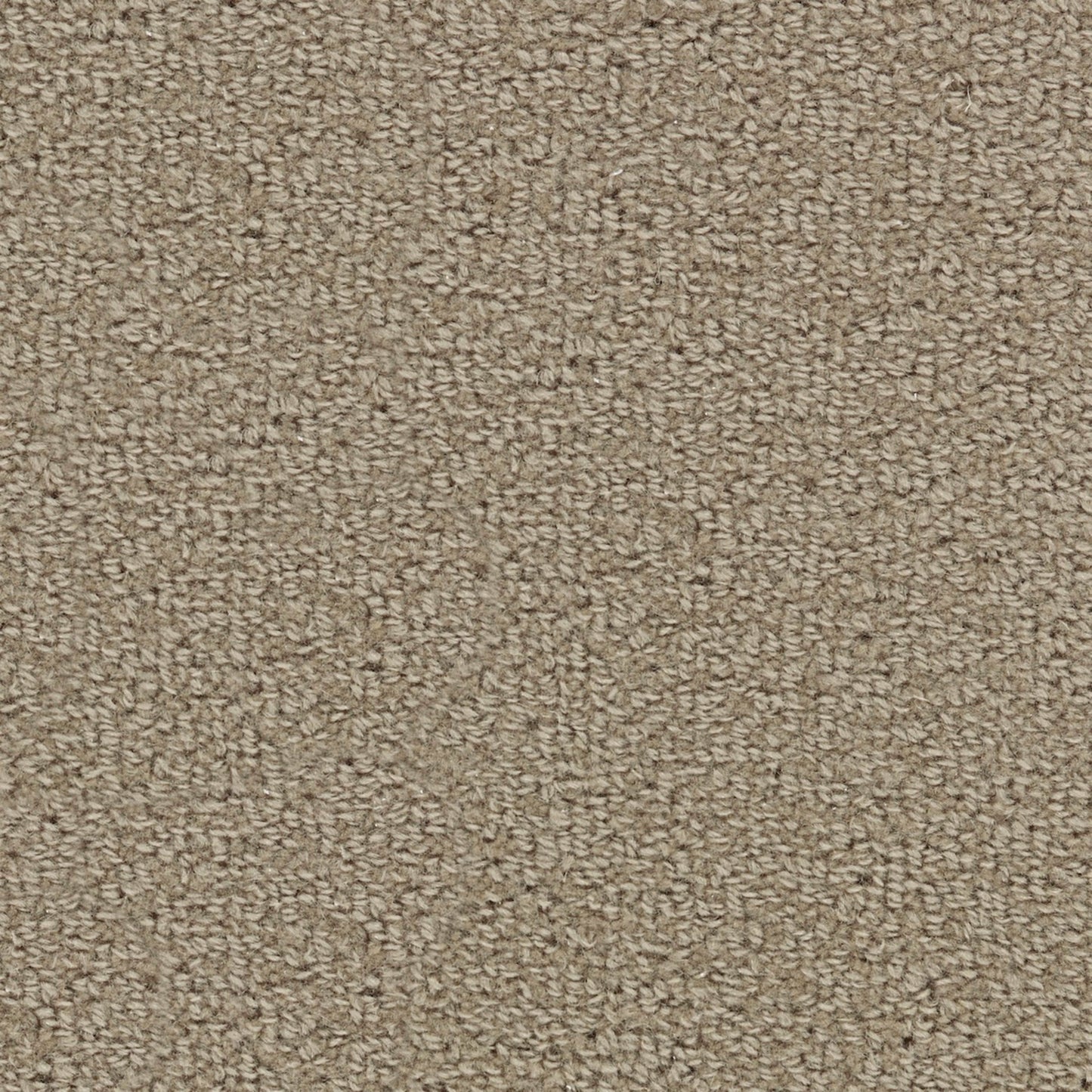 Wool Tip Shear Ii