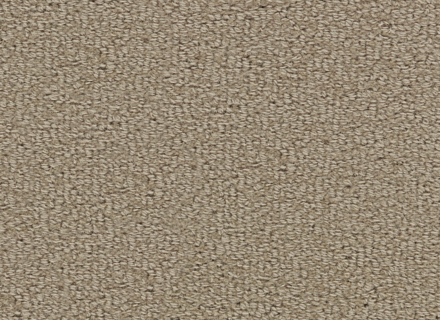 Wool Tip Shear Ii