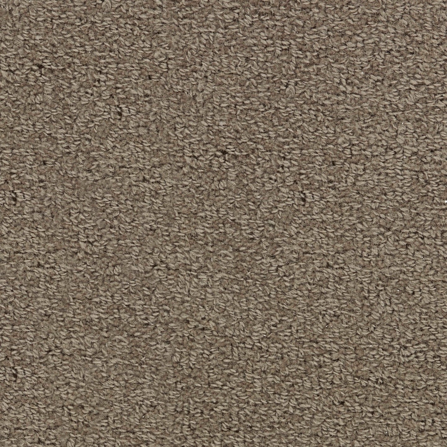 Wool Tip Shear Ii