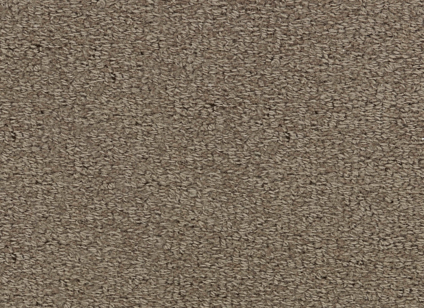 Wool Tip Shear Ii