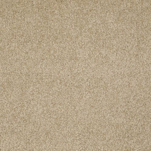 What's Up in Oakwood Carpet