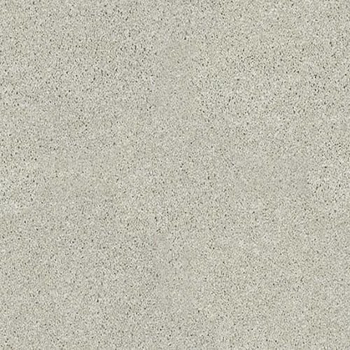 Vacation Day in Silverstone Carpet