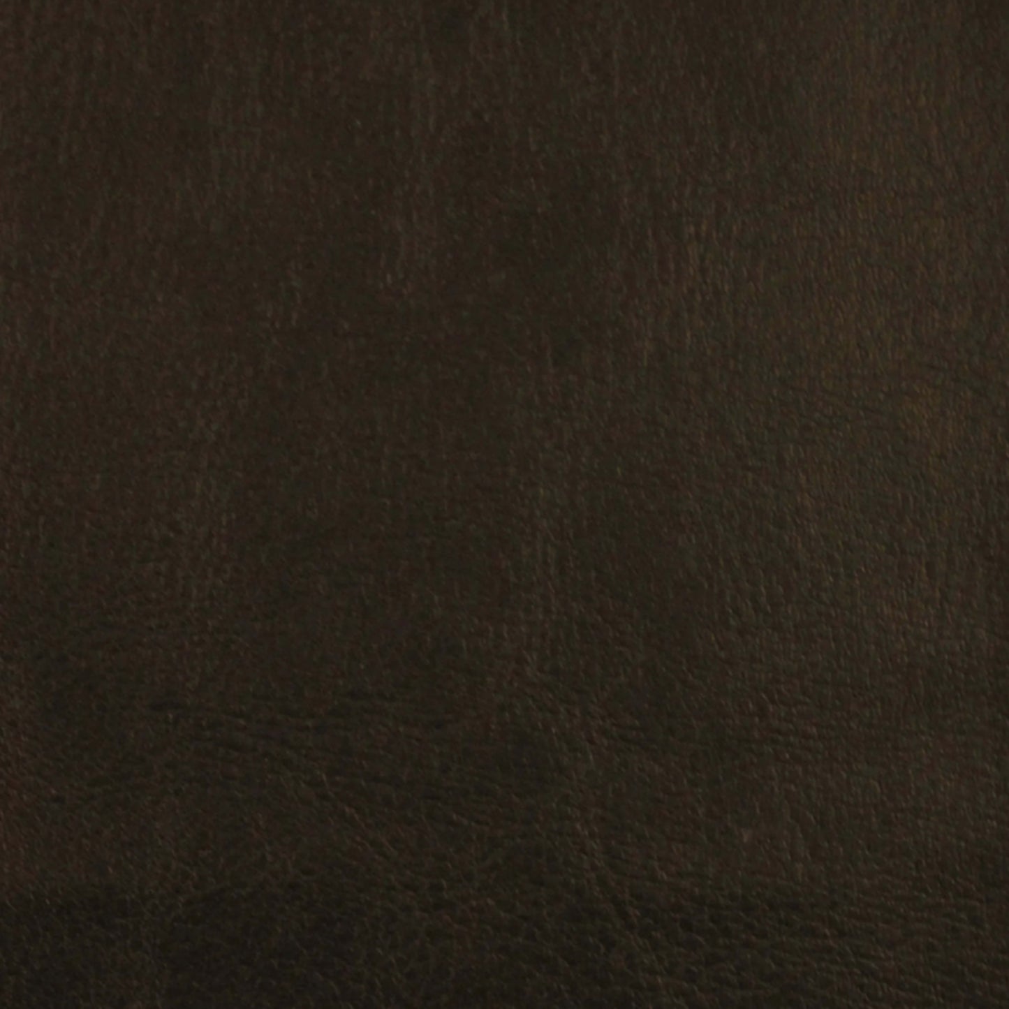 Leather Essence in Midnight Carpet