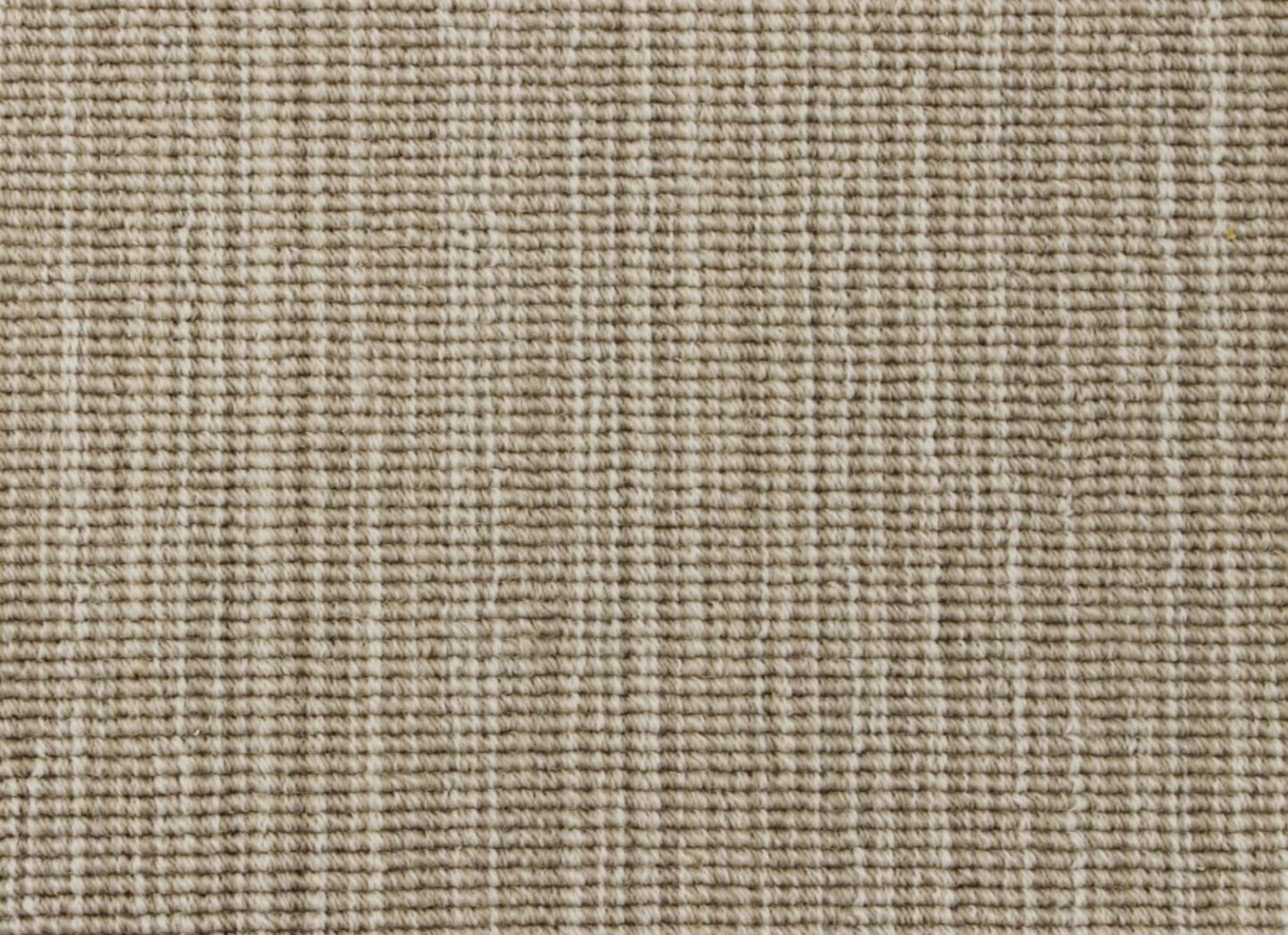 Modern Strie