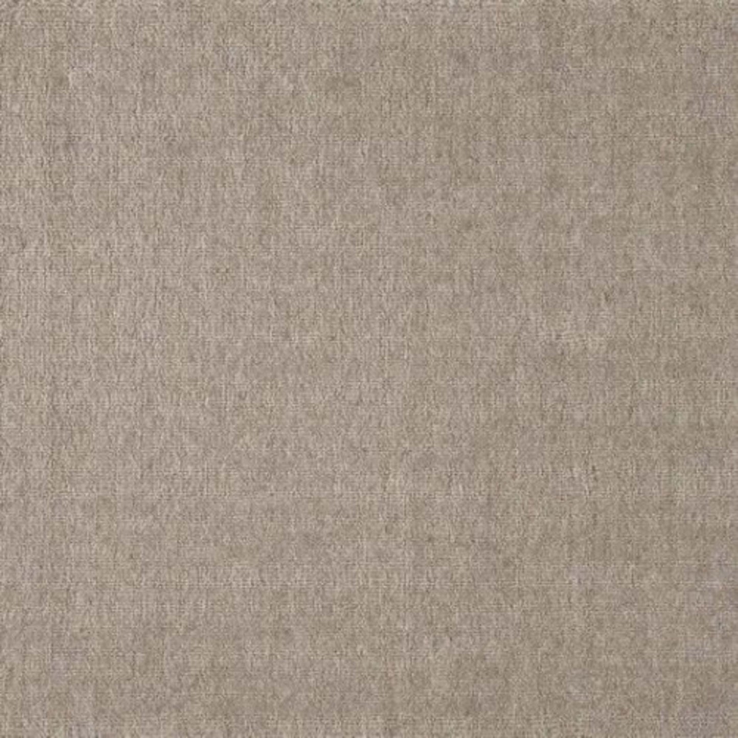 Sheer Luxury in Stone Carpet