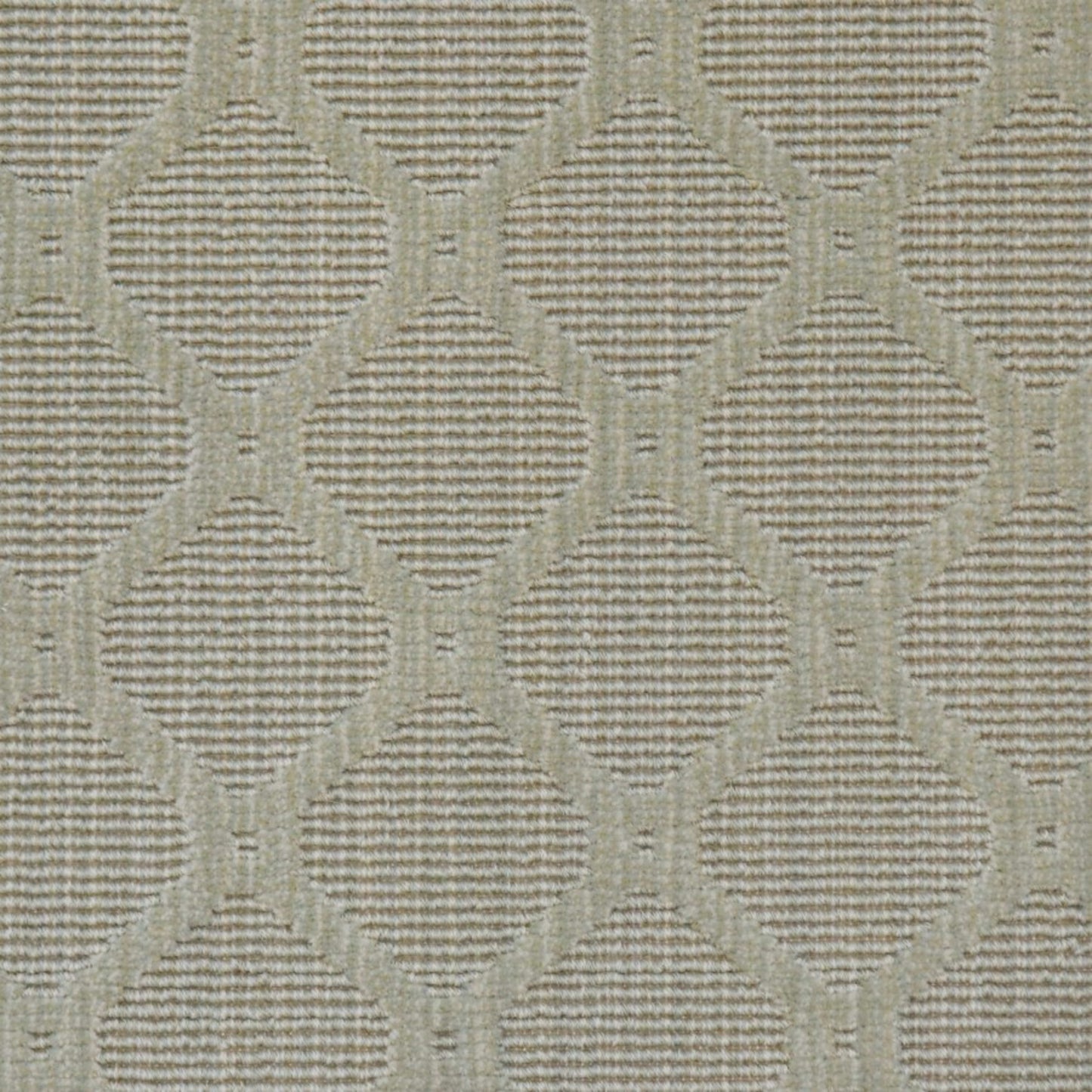 Roundabout in Lichen Carpet