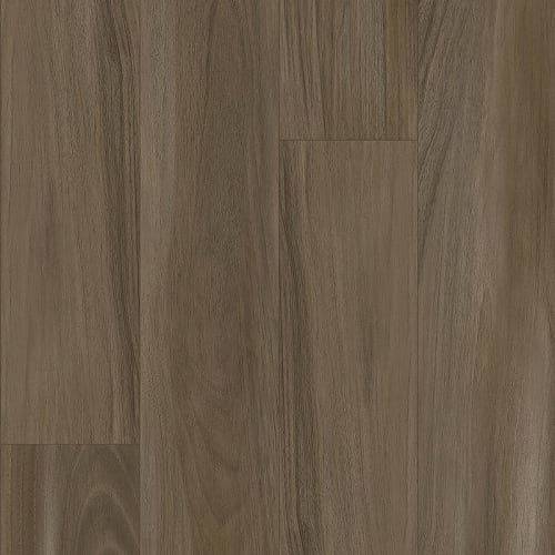 Bowman II in Savannah Sparrow Pine
