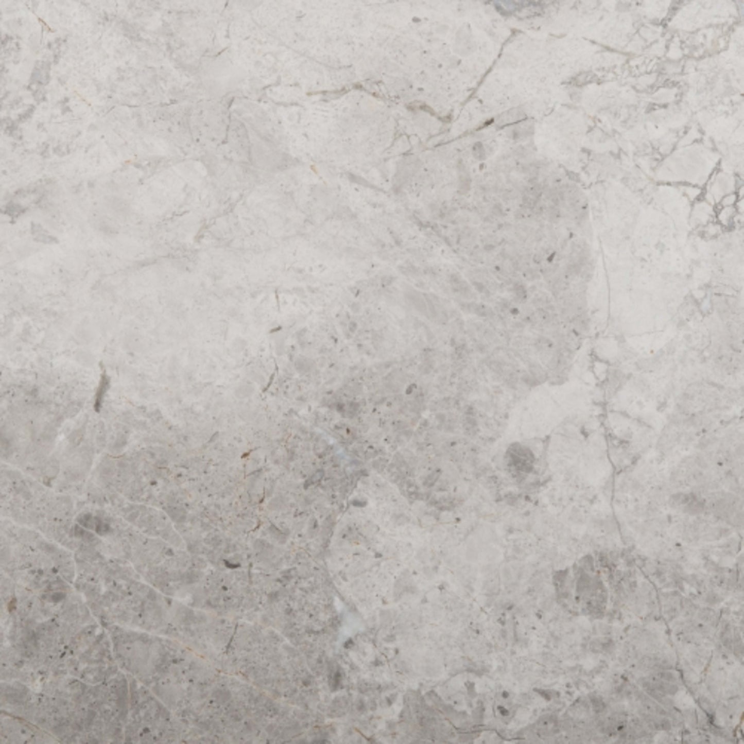 Marble Silver Collection in Silver Polished 12" X 12" Natural Stone