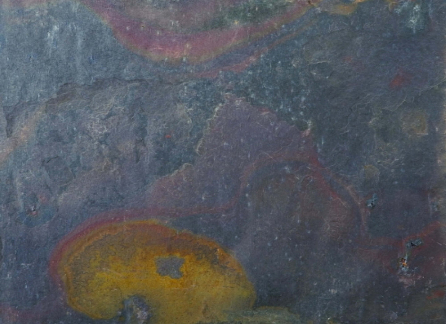 SLATE, QUARTZITE & SANDSTONE in Rustic Gold 12" X 12"