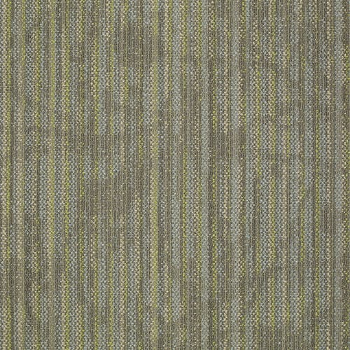 Reveal