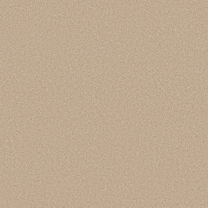 Velvet Touch I