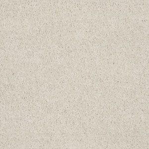 Enduring Comfort III in Polar Carpet