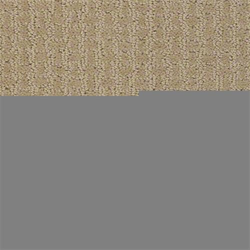 Best Hope in Field Stone Carpet
