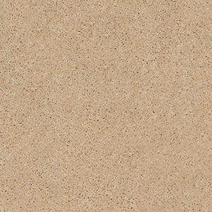 Enduring Comfort I in Mesa Carpet