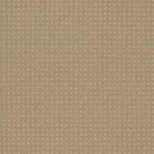 Enduring Comfort Pattern in Clay Stone Carpet
