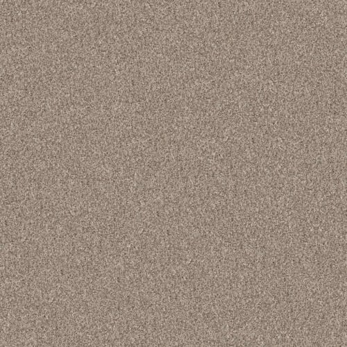 YES YOU CAN I 12' in Natural Carpet