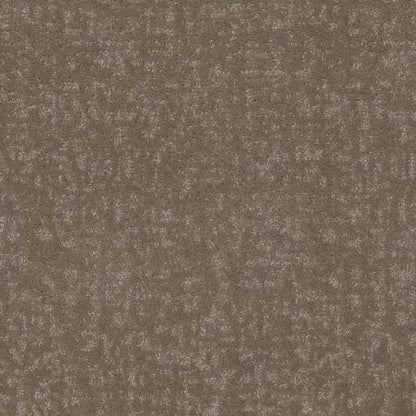 HOME WITHIN in Cameo Carpet