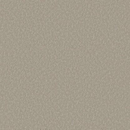 Clever Choice in Sandstone Carpet