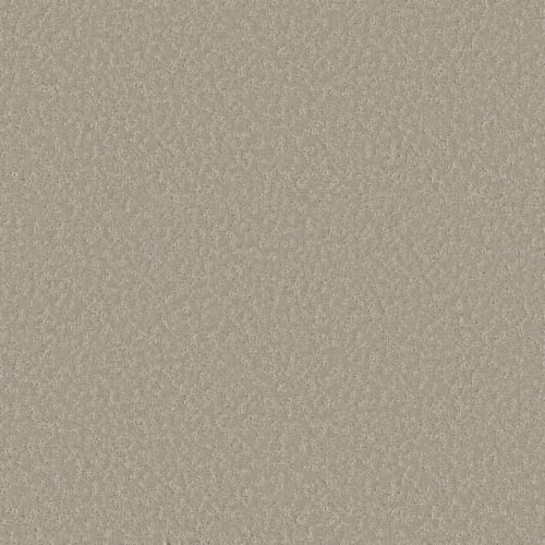 Clever Choice in Sandstone Carpet