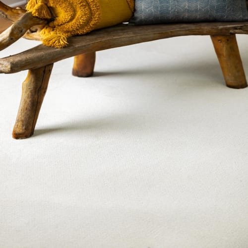 Alluring Canvas in Champagne Toast Carpet