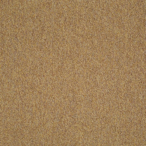 MULTIPLICITY 24X24 in Abundance Carpet