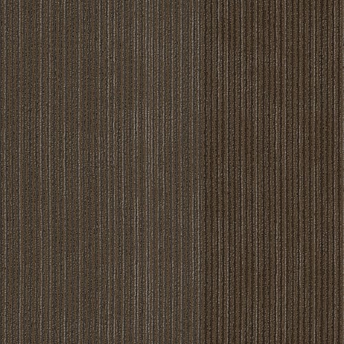 DISCLOSE in Newsfeed Carpet