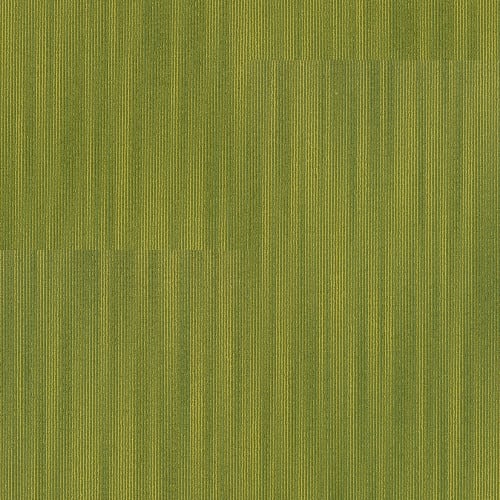 GLEAM in Gleaming Carpet