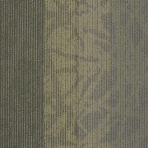 Static