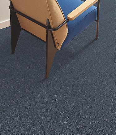 PROFUSION in Multitude Carpet