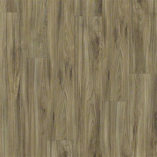 Hollywood Boulevard in Musicians Luxury Vinyl