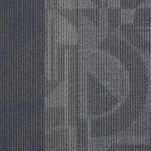 Feedback in Amplifier Carpet