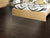 St. Petersburg in Bayfront Hardwood
