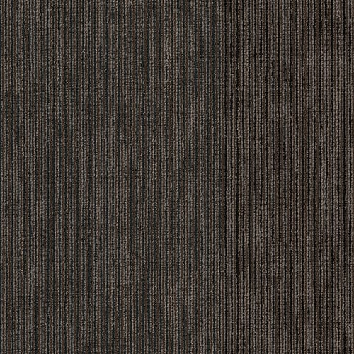 DOCUMENT in Hard News Carpet