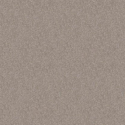 CABANA BAY TONAL