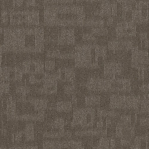 FORMA in Alliance Carpet