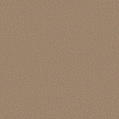 Velvet Touch I