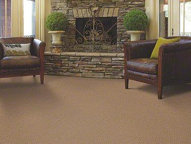Warm Welcome in Field Stone Carpet
