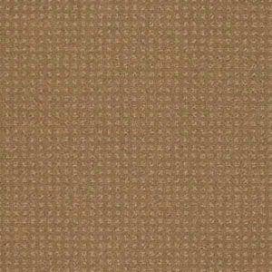 Westminster in Field Stone Carpet