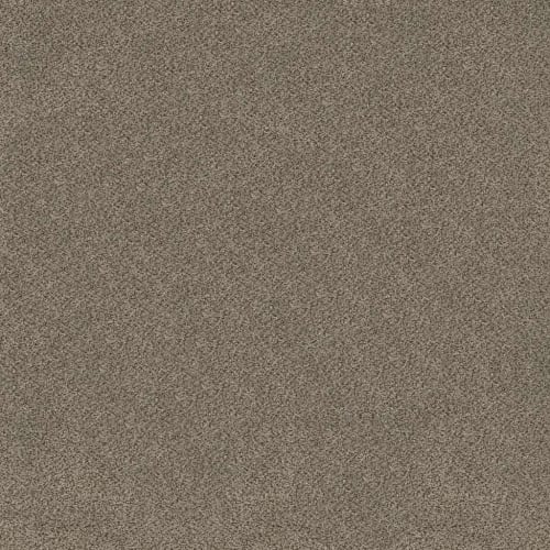 TRUSPLENDOR in Truffle Carpet