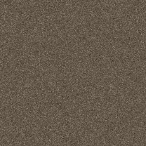 WITHOUT LIMITS III in Bountiful Carpet