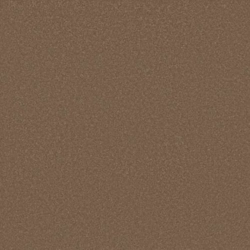 AWAKEN SPIRIT I in Copperglaze Carpet