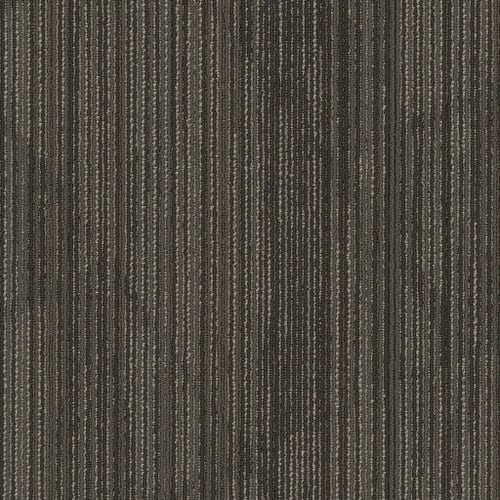 VISIONARY in Cutting Edge Carpet
