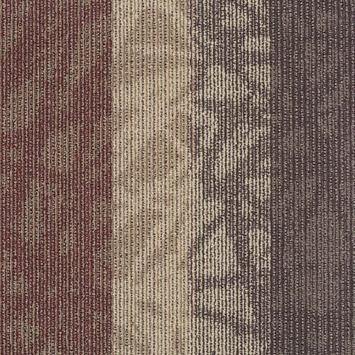 Static in Echo Carpet